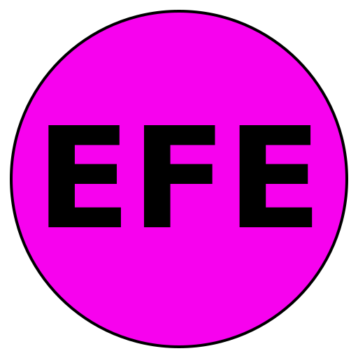 EffiFit Experts